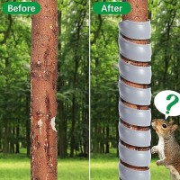 Watayo 2 Pcs Tree Trunk Protector 2 Size Plastic Spiral Tree Guard Tree Bark Protector Tube Wraps To Protect Saplings Plants F