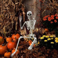 Lodou 54Ft Posable Life Size Human Adult Skeletons Plastic Human Bones With Movable Joints For Halloween Decoration