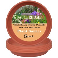 Saucerhome 5 Packs Plant Saucer Pot Tray 6 8 10 12 14 16 19 20 Inch Plastic Flower Planter Saucers And Drip Trays For Indoors Ou