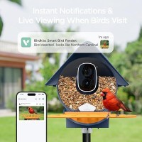 Birdkiss Smart Bird Feeder With Camera Solar Powered Ai Auto Capture Each Bird Come Identify Bird Species Bird Watching Came