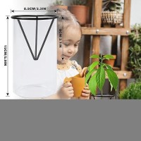 Bylion Avocado Tree Growing Kits Avocado Growing Vase Wooden Base Avocado Seed Starter Vase Glass Plant Pot Easy Seed Sprout St