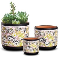 Qipecedm 3 Piece Ceramic Plant Pots  5.7/4.7/3.5/Inch Planters With Drainage Hole  Outdoor Indoor Flower Pots Set  Modern Decorative Plant Pots For Lilies  Cacti  Succulents  Snakes  Bamboo(Black)