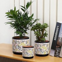 Qipecedm 3 Piece Ceramic Plant Pots  5.7/4.7/3.5/Inch Planters With Drainage Hole  Outdoor Indoor Flower Pots Set  Modern Decorative Plant Pots For Lilies  Cacti  Succulents  Snakes  Bamboo(Black)