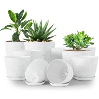 Utopia Home Plant Pots Indoor With Drainage 76665348 Inches Home Decor Flower Pots For Indoor Planter Plastic Plant