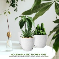 Utopia Home Plant Pots Indoor With Drainage 76665348 Inches Home Decor Flower Pots For Indoor Planter Plastic Plant