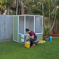 Absco Chicken Coop 5 X 5 Pale Eucalypt