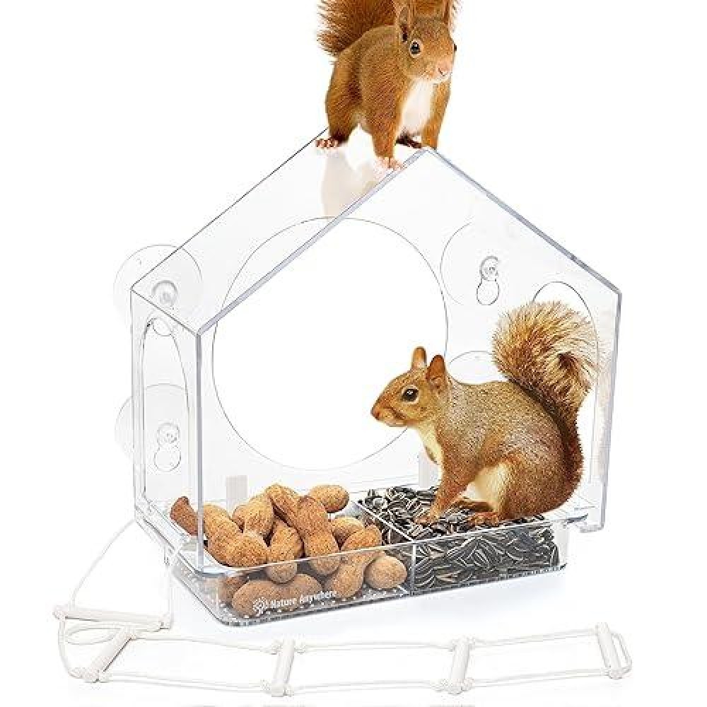 Window Squirrel Feeder Funny Chipmunk Feeder Easy To Install No Assembly Needed Includes Evergrip 4X Suction Cups Squir