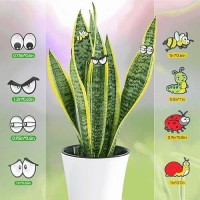 Cslehel Plant Magnets Eyes For Potted Plants 8 Pcs Cute Magnetic Plant Eyes With Cartoon Eyes Funny Plants Pins For Indoor Out