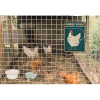 Bestylez Funny Chicken Coop Sign Chicken Decor Chicken Crossing Guess What Chicken Butt 12 8 260