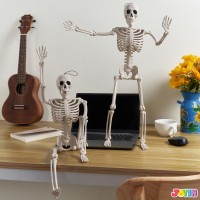 Joyin 2 Pcs 24 Halloween Skeletons Full Body Posable Skeletons Human Plastic Bones With Movable Joints For Spooky Indoor And