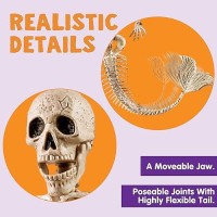 Joyin 4 Pcs 20 Halloween Mermaid Skeleton Plastic Bones With Posable Joints For Photo Props Decorations Trick Or Treat Decor