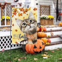 Hello Fall 12X18 Inch Small Garden Flag Vertical Double Sided Thanksgiving Cat Garden Flag Autumn House Yard Outdoor Decoration