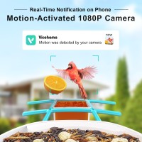 Birdsnap Tuc Smart Bird Feeder With Camerasolar Panel Sd Card 4In1 Perch 160View 1080P Auto Detect Notify Ai Identify 10