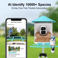 Birdsnap Tuc Smart Bird Feeder With Camerasolar Panel Sd Card 4In1 Perch 160View 1080P Auto Detect Notify Ai Identify 10