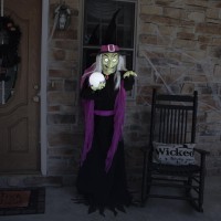 Haunted Hill Farm 6Ft Tall Fortune Teller Witch Plugin Motionactivated Talking Scare Prop Halloween Animatronic For Indoor