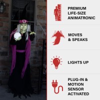 Haunted Hill Farm 6Ft Tall Fortune Teller Witch Plugin Motionactivated Talking Scare Prop Halloween Animatronic For Indoor