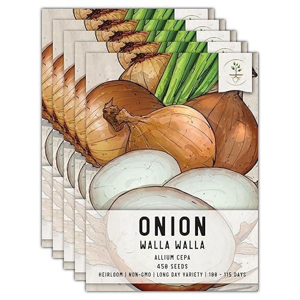 Seed Needs Walla Walla Onion Seeds 450 Heirloom Seeds For Planting Allium Cepa Long Day Variety Nongmo Untreated Grow