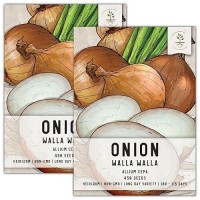 Seed Needs Walla Walla Onion Seeds 450 Heirloom Seeds For Planting Allium Cepa Long Day Variety Nongmo Untreated Grow