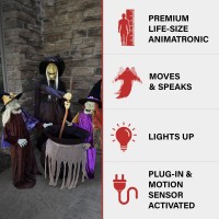 Haunted Hill Farm Motionactivated Wicked Sitchwick Sisters Plugin Talking Scare Halloween Animatronics For Indoor Or Covered