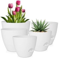 Qrrica Plant Pots 1098757 Inch Self Watering Pots Set Of 5 Plastic Planters With Drainage Holes And Saucers Plastic Flower