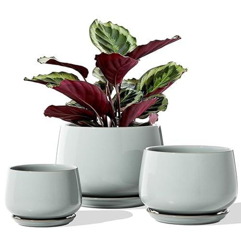 Le Tauci Plant Pots For Indoor Plants  4.1+5.1+6.5 Inch  Set Of 3  Ceramic Planters With Drainage Hole And Saucer  Indoor Flower Pot With Hole Mesh Pad  Gifts For Mom  Reactive Glaze Blue Gray