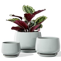 Le Tauci Plant Pots For Indoor Plants  4.1+5.1+6.5 Inch  Set Of 3  Ceramic Planters With Drainage Hole And Saucer  Indoor Flower Pot With Hole Mesh Pad  Gifts For Mom  Reactive Glaze Blue Gray