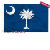 South Carolina State Flag 3X5 Outdoor Double Sided 3 Layers Polyester State Of South Carolina Flags Sewing 4 Rows Of Thread With Durable Canvas Header And Brass Grommets South Carolina Decor For