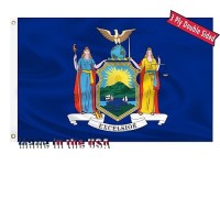 New York State Flag 3X5 Outdoor Double Sided 3 Layers Polyester State Of New York Ny Flags Sewing 4 Rows Of Thread With Durable Canvas Header And Brass Grommets New York Decor For Indoor Wall Room