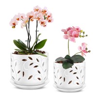 Efispss Orchid Pot With Holes 56Inch Ceramic Plant Pots With Drainage Holes And Tray Promoting Air Circulation And Drainage