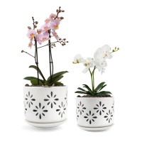 Efispss Orchid Pot56Inch Ceramic Drainage Orchid Pots With Holes Enhance Good Ventilation And Drainage Orchid Pots Indoorout