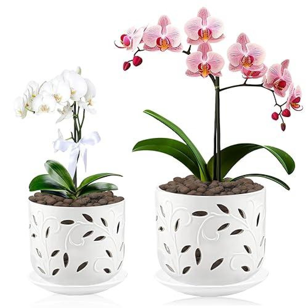 Buymax Set Of 2 Orchid Pots With Holes Saucers For Orchid Root Health 5 Inch6 Inch Ceramic Pots For Plants Effective Draina