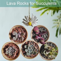 Lava Rocks For Plants  2Lbs Volcanic Stones Gravel Horticultural Drainage Potting Soil For Indoor Outdoor Plants  Succulents  Bonsai  Cactus  Vase Fillers  Top Dressing (2Lbs  Red  1)