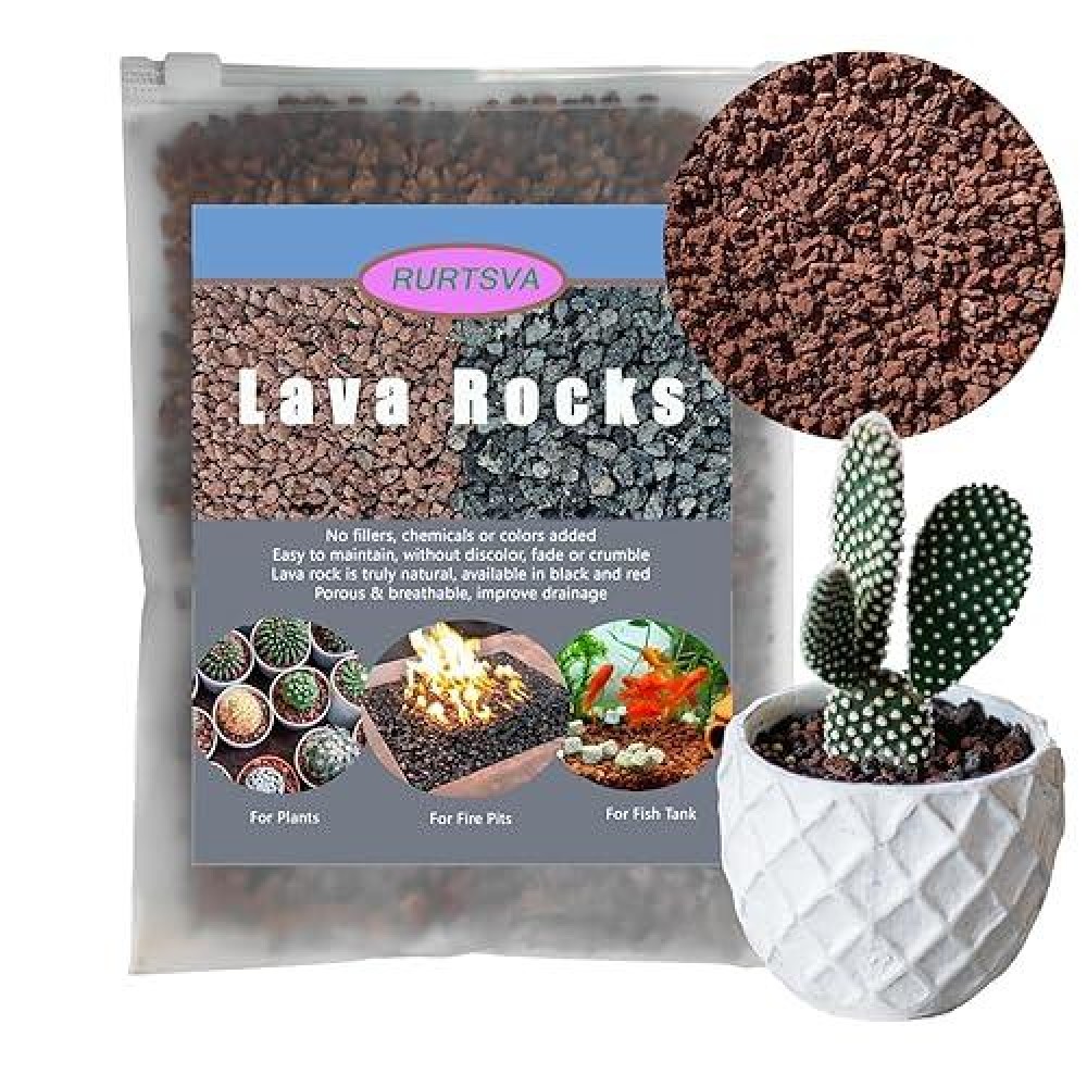 Lava Rocks For Plants  5Lbs Volcanic Stones Gravel Horticultural Drainage Potting Soil For Indoor Outdoor Plants  Succulents  Bonsai  Cactus  Vase Fillers  Top Dressing (5Lbs  Red  1)