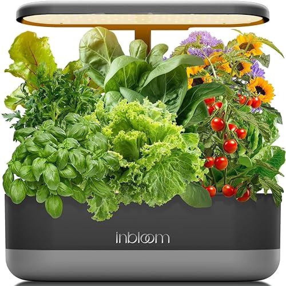 Inbloom 12 Pods Hydroponics Growing System Kit  Herb Garden Planter Indoor Kit  Indoor Gardening Hydroponics Growing System With Pods  4.2L Water Pump  Height Adjustable  Gifts For Woman  Black