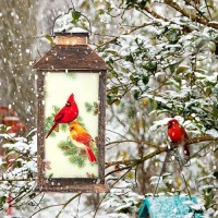 Cardinal Wind Chimes For Outside Solar Lantern  Christmas Cardinal Bird Gifts For Mom Women Hanging Solar Wind Chimes Outdoor  37