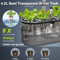 Inbloom 12 Pods Hydroponics Growing System Kit  Herb Garden Planter Indoor Kit  Indoor Gardening Hydroponics Growing System With 4.2L Water Pump  Height Adjustable  Gifts For Woman  Transparent Black