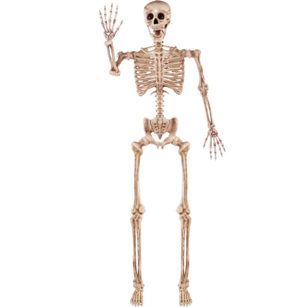 Joyin 56 Ft Halloween Posable Life Size Skeleton Full Body Realistic Bones With Movable Joints For Halloween Indoor And Outdoor