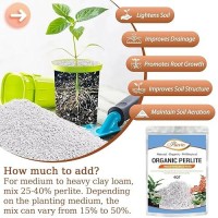 Riare 4 Quarts Organic Perlite For Plants Horticultural Perlite Soil Amendment For Plants Potting Mix Natural Chunky Perlite