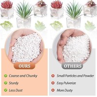 Riare 4 Quarts Organic Perlite For Plants Horticultural Perlite Soil Amendment For Plants Potting Mix Natural Chunky Perlite