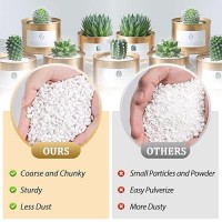 Riare 20 Quarts Organic Perlite For Plants Horticultural Perlite Soil Amendment For Plants Potting Mix Natural Chunky Perlite