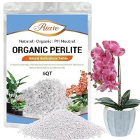 Riare 6 Quarts Organic Perlite For Plants Horticultural Perlite Soil Amendment For Plants Potting Mix Natural Chunky Perlite