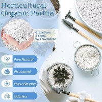 Riare 6 Quarts Organic Perlite For Plants Horticultural Perlite Soil Amendment For Plants Potting Mix Natural Chunky Perlite