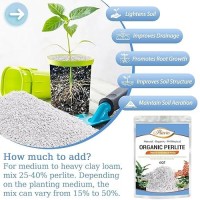 Riare 6 Quarts Organic Perlite For Plants Horticultural Perlite Soil Amendment For Plants Potting Mix Natural Chunky Perlite