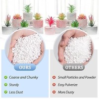 Riare 6 Quarts Organic Perlite For Plants Horticultural Perlite Soil Amendment For Plants Potting Mix Natural Chunky Perlite