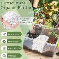 Riare 2 Quarts Organic Perlite For Plants Horticultural Perlite Soil Amendment For Plants Potting Mix Natural Chunky Perlite