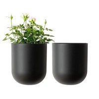 La Jolie Muse Wall Hanging Planters For Indoor Plants Hanging Flower Pots For Air Plants Succulent Set Of 2 6 Inch Black