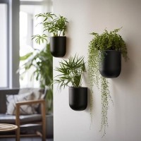 La Jolie Muse Wall Hanging Planters For Indoor Plants Hanging Flower Pots For Air Plants Succulent Set Of 2 6 Inch Black