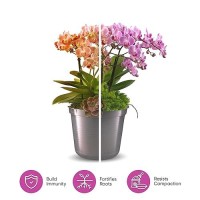 Mollys Orchid Mix Premium Soilless Potting Mix For Orchids Contains Bark Coco Chips Akadama Pumice Lava Rock 11 Liters