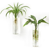 Mkono Propagation Station Wall Planter Hanging Glass Tubes Flower Vase For Hydroponics Plants Bathroom Home Office Living Room