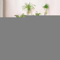 Mkono Propagation Station Wall Planter Hanging Glass Tubes Flower Vase For Hydroponics Plants Bathroom Home Office Living Room